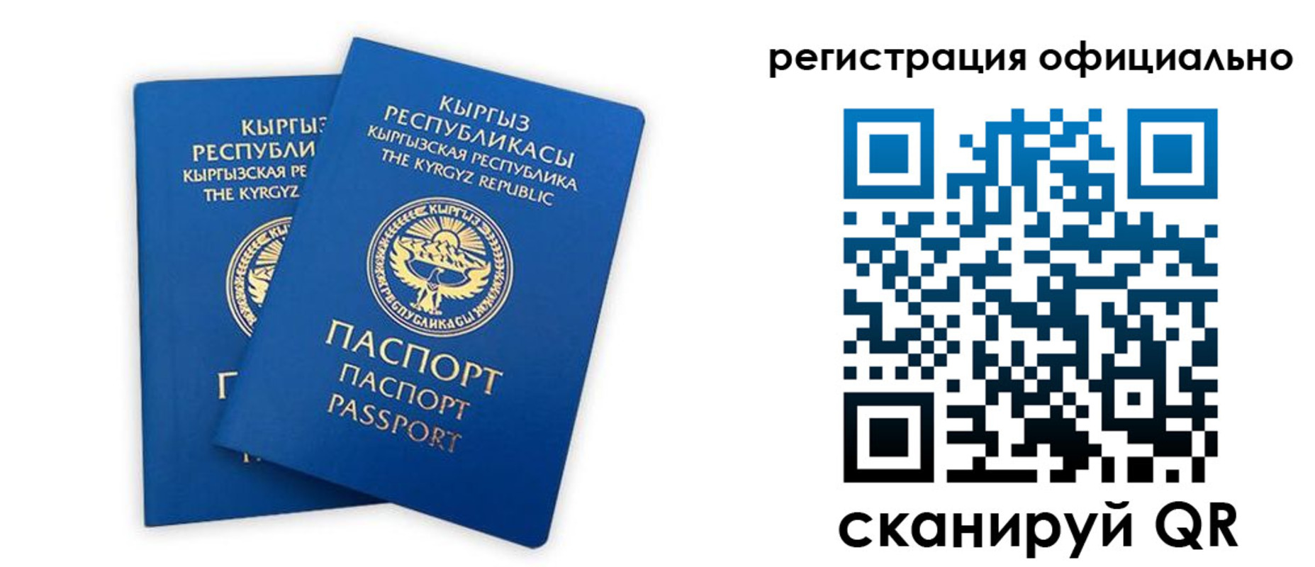прописка поиск в Вологде